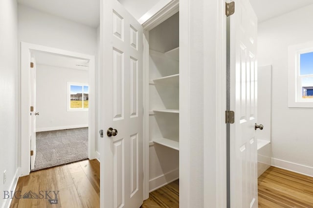 20 Hollow Top Trl, Three Forks, MT 59752 - view of closet