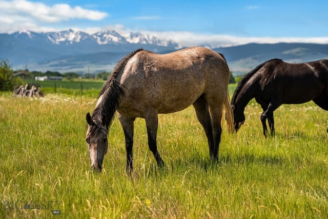 TBD Dovetail Ln, Bozeman, MT 59715