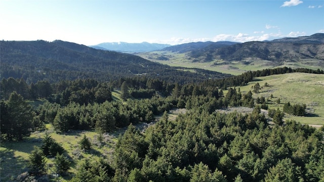 198 Elk Ridge Rd, Livingston, MT 59047 - photo 50