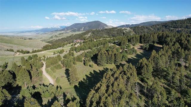 198 Elk Ridge Rd, Livingston, MT 59047 - photo 76