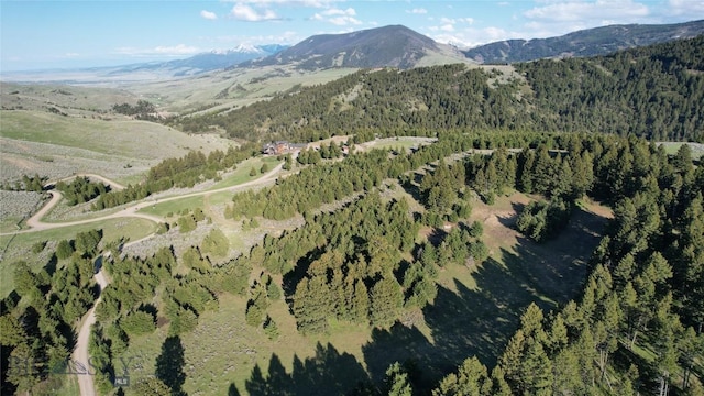 198 Elk Ridge Rd, Livingston, MT 59047 - photo 87