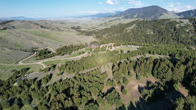 198 Elk Ridge Rd, Livingston, MT 59047 - photo 80