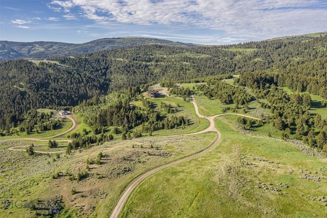 198 Elk Ridge Rd, Livingston, MT 59047 - photo 5