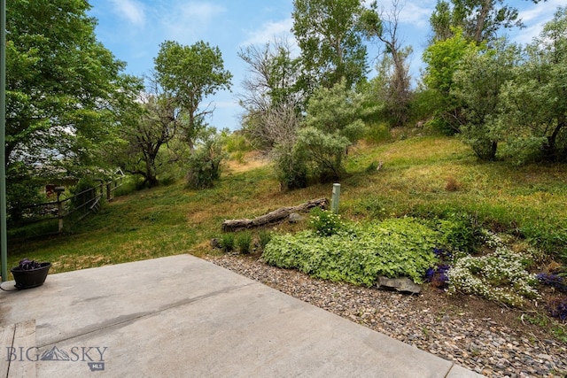 1203 Wineglass Ct Unit B, Livingston, MT 59047 - view of yard featuring a patio area