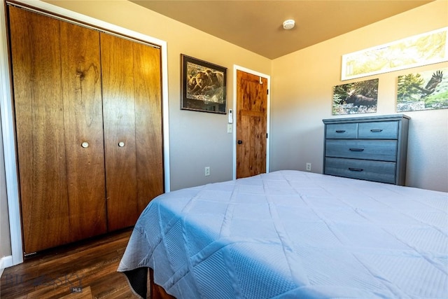 14 Peters Ln, Gardiner, MT 59030 - bedroom with dark wood-style floors and a closet
