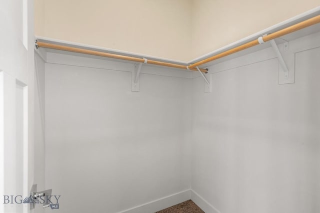 1606 Wyatt Earp Ct, Belgrade, MT 59714 - spacious closet featuring carpet