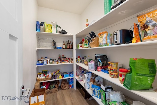 1606 Wyatt Earp Ct, Belgrade, MT 59714 - view of pantry