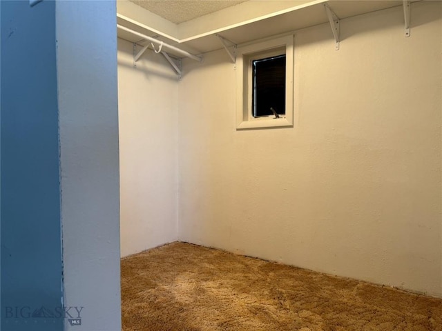 512 W 4th Ave, Big Timber, MT 59011 - spacious closet with carpet