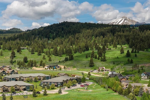 120 Firelight Dr Unit C10, Big Sky, MT 59716 - view of mountain backdrop featuring a heavily wooded area