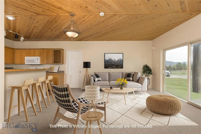 120 Firelight Dr Unit C10, Big Sky, MT 59716 - living area with wooden ceiling and light carpet