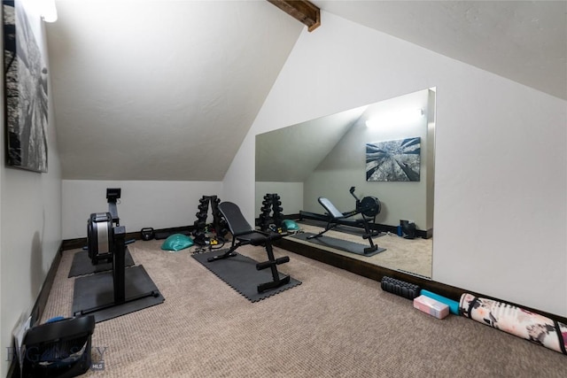 155 Peacemaker Ridge Rd, Belt, MT 59412 - workout area with carpet flooring and vaulted ceiling