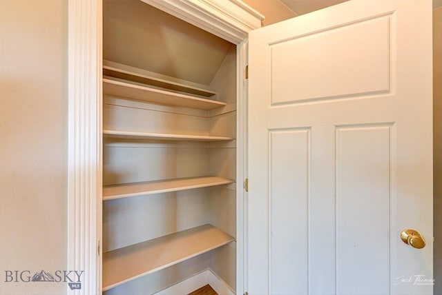 9 Sand Piper, Helena, MT 59602 - view of closet