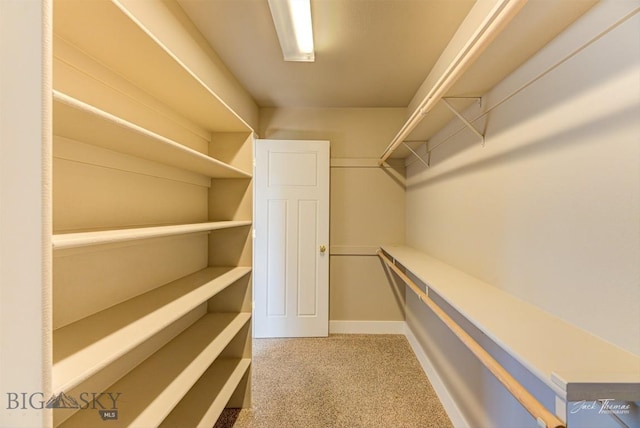 9 Sand Piper, Helena, MT 59602 - walk in closet featuring carpet floors