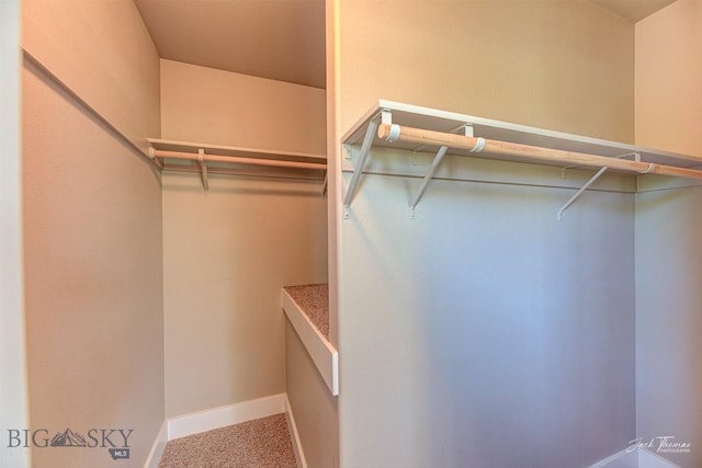 9 Sand Piper, Helena, MT 59602 - walk in closet featuring carpet