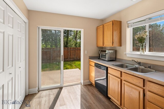 306 Golden Valley Dr, Bozeman, MT 59718 - photo 9