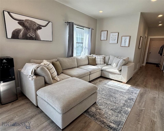 165 Johnson Ave, Dillon, MT 59725 - living room featuring wood finished floors and recessed lighting