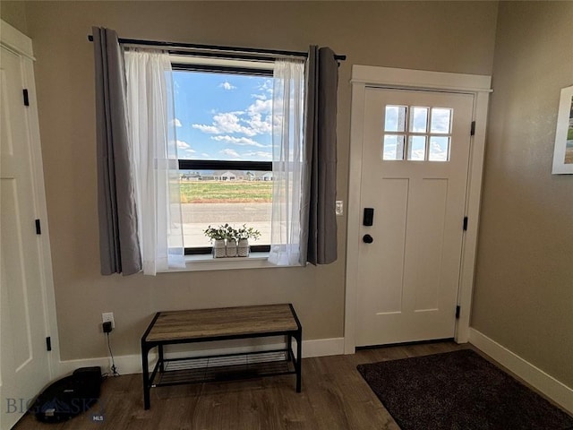 165 Johnson Ave, Dillon, MT 59725 - entrance foyer with baseboards and wood finished floors