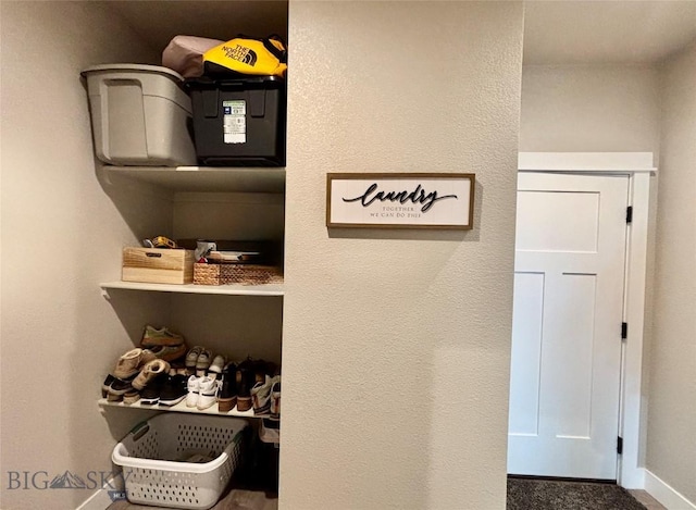165 Johnson Ave, Dillon, MT 59725 - detailed view of carpet floors and baseboards