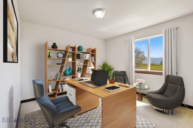 343 Stewart Loop, Bozeman, MT 59718 - carpeted office with baseboards