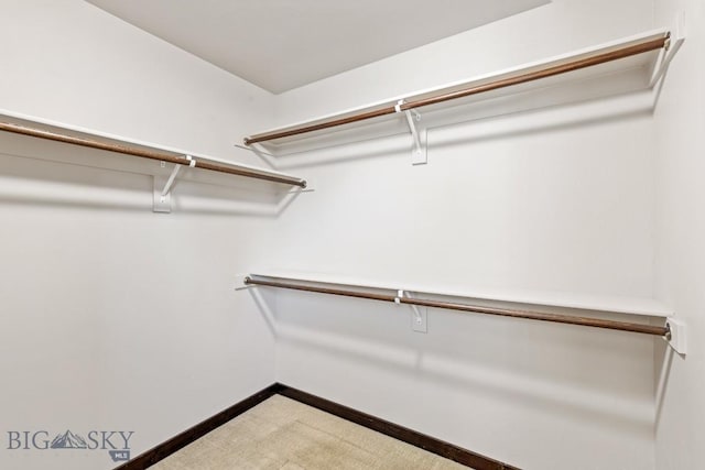 343 Stewart Loop, Bozeman, MT 59718 - walk in closet featuring carpet