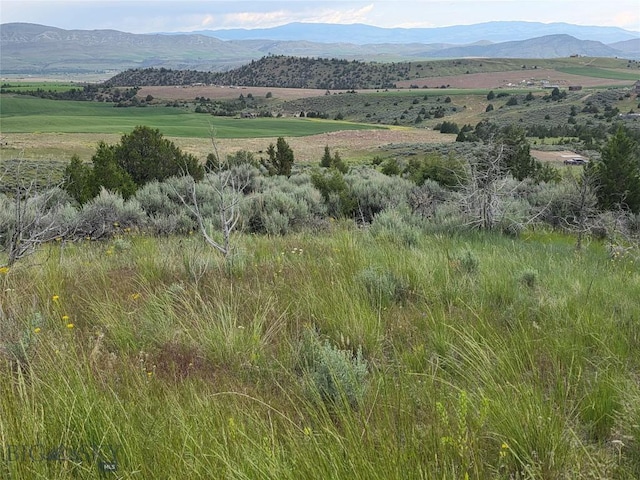 TBD Homestead, Clarkston, MT 59752