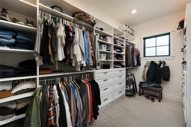 75 Vera Ct, Bozeman, MT 59718 - walk in closet featuring light colored carpet