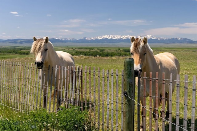 22 Porcupine, Wilsall, MT 59086 - photo 62