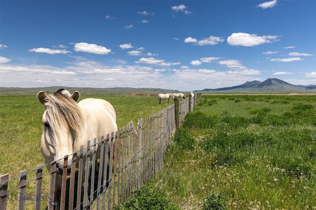 22 Porcupine, Wilsall, MT 59086 - photo 71