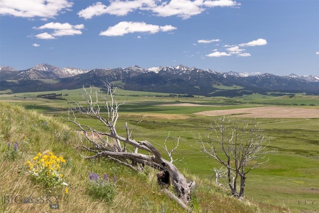 22 Porcupine, Wilsall, MT 59086 - photo 73