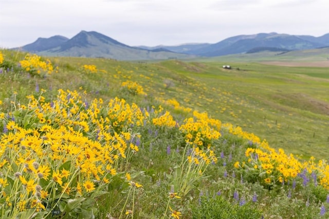 22 Porcupine, Wilsall, MT 59086 - photo 76