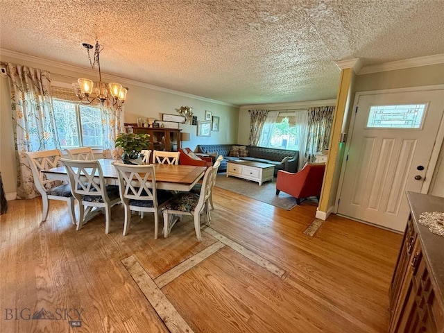 2030 Adams Ave, Butte, MT 59701 - dining space featuring a chandelier, a textured ceiling, light wood-style floors, and ornamental molding