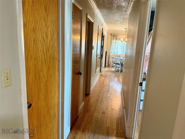 2030 Adams Ave, Butte, MT 59701 - corridor with crown molding, wood finished floors, and a textured ceiling