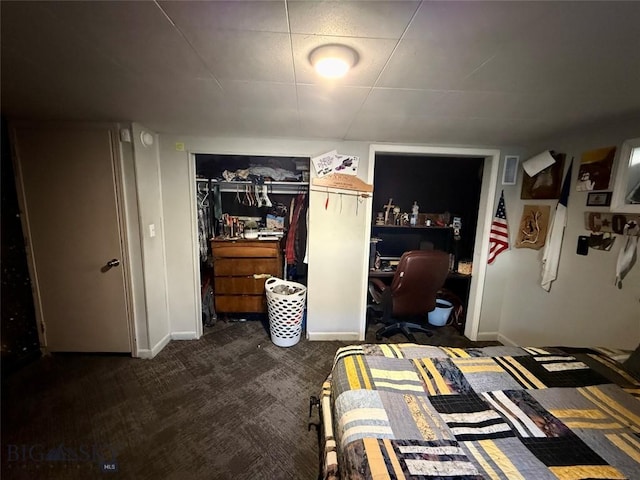 2030 Adams Ave, Butte, MT 59701 - bedroom with a closet and dark colored carpet