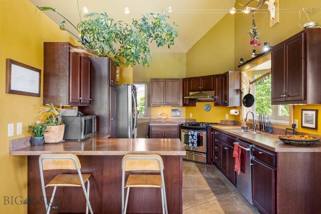 13 Blue Wing Rd, Ennis, MT 59729 - kitchen with appliances with stainless steel finishes, high vaulted ceiling, under cabinet range hood, a peninsula, and light countertops