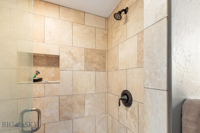 13 Blue Wing Rd, Ennis, MT 59729 - bathroom view of tiled shower
