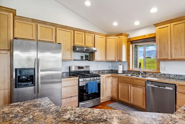418 May Ln, Belgrade, MT 59714 - kitchen with stainless steel appliances, under cabinet range hood, vaulted ceiling, dark wood-style floors, and recessed lighting