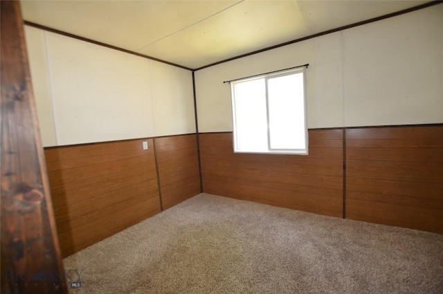 103 Flick, Sheridan, MT 59749 - unfurnished bedroom featuring wood walls, carpet, and a wainscoted wall