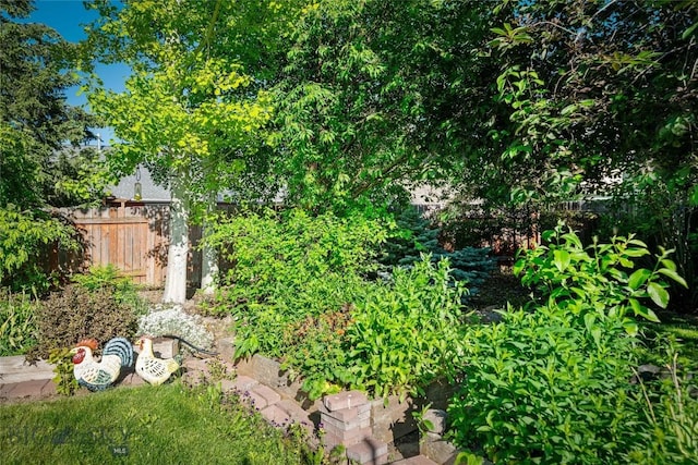 944 Forest Glen Dr, Bozeman, MT 59718 - view of yard