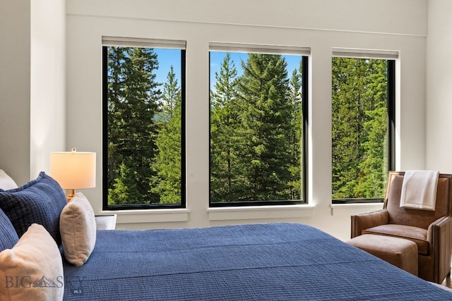 544 Grey Drake, Big Sky, MT 59716 - bedroom featuring multiple windows