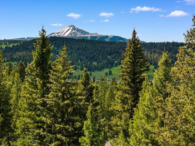 544 Grey Drake, Big Sky, MT 59716 - view of mountain background featuring a forest