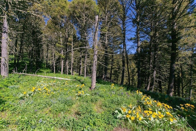 169 Grassy Mountain Rd, White Sulphur Springs, MT 59645