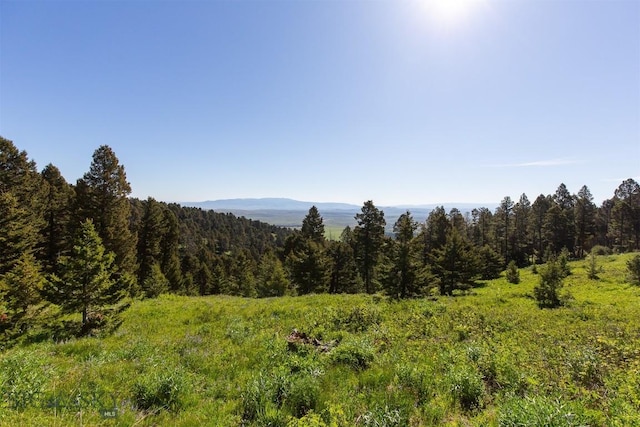 169 Grassy Mountain Rd, White Sulphur Springs, MT 59645