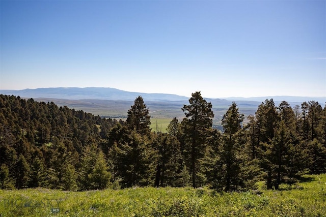 169 Grassy Mountain Rd, White Sulphur Springs, MT 59645