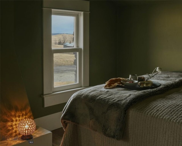 802 Deadmans Canyon Rd, Reed Point, MT 59069 - view of bedroom
