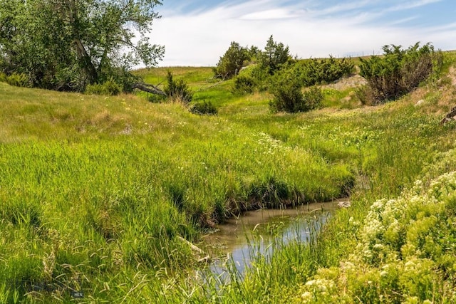 802 Deadmans Canyon Rd, Reed Point, MT 59069 - view of nature