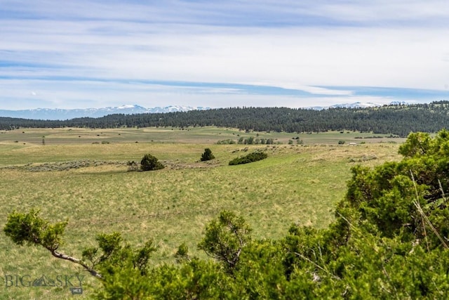802 Deadmans Canyon Rd, Reed Point, MT 59069 - view of mountain background
