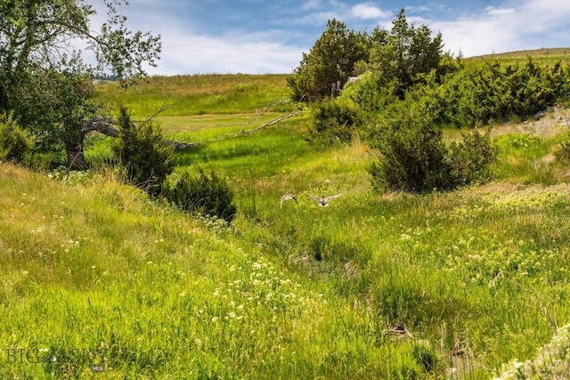 802 Deadmans Canyon Rd, Reed Point, MT 59069 - view of nature with rural landscape