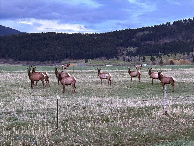 TBD Mount Ellis Lane, Bozeman, MT 59715 - photo 33