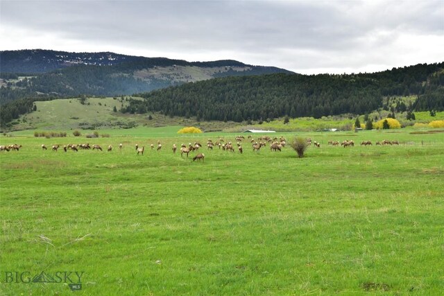 TBD Mount Ellis Lane, Bozeman, MT 59715 - photo 29