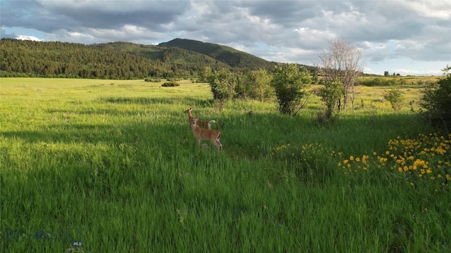 TBD Mount Ellis Lane, Bozeman, MT 59715 - photo 2